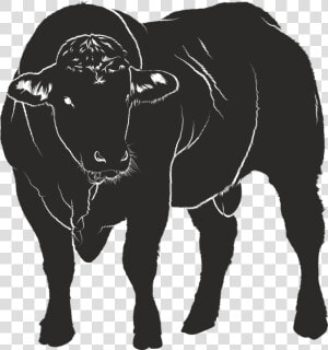 Bull  Silhouette  Black  Isolated Form  Animal  Shadow   Warnschild Bulle  HD Png Download