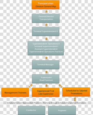 Executive Career Path  HD Png Download