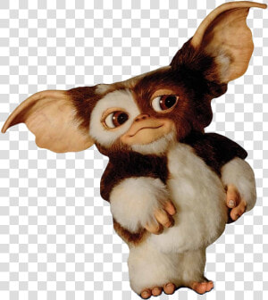  gizmo  gremilins  freetoedit   Gremlins Gizmo  HD Png Download