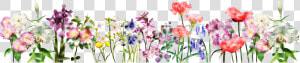 Flower Header Clipart Picture Royalty Free Download   Spring Flower Banner Transparent  HD Png Download