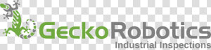 Gecko Robotics Logo  HD Png Download