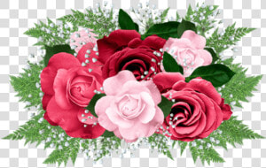 Red Rose Bouquet Png   Red Pink Rose Background Png  Transparent Png