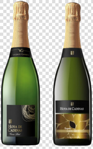 Vicente Gandia Cava Brut  HD Png Download