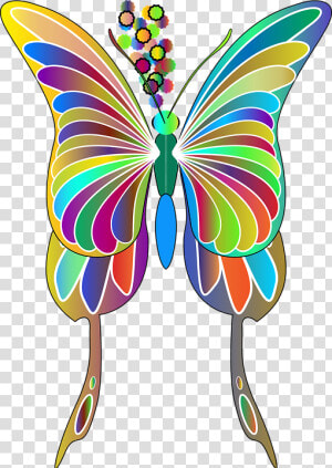 Butterfly  Animal  Insect  Flying  Wings  Colorful   Butterfly  HD Png Download