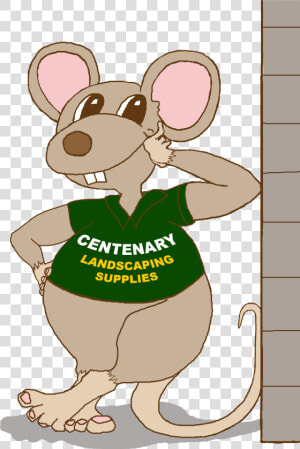 Transparent Rodent Png   Cartoon  Png Download