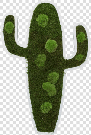 Cactus Pictogram 60 Cm   Chlorophyta  HD Png Download