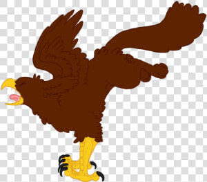 Bald Eagle Clipart   Aguila Llevando Una Gallina Animado  HD Png Download