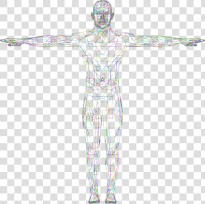 Detailed Low Poly Man Wireframe Prismatic Clip Arts   3d Wireframe Body Png  Transparent Png