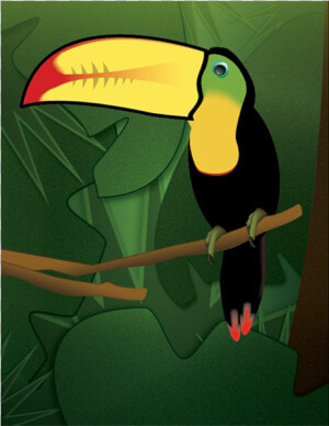 Toucan  amp  Gradients Exercise Adobe Illustrator Illustration   Toucan  HD Png Download