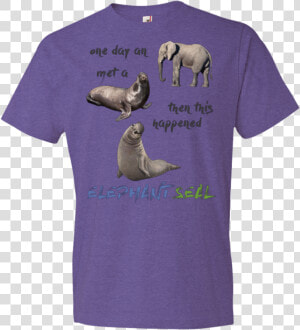 Funny Elephant Seals   T shirt  HD Png Download