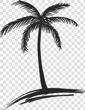 And Black Drawing Palm Tree White   Small Palm Tree Drawing  HD Png Download