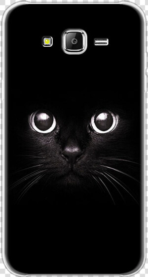 Iphone 5c Cat Cases  HD Png Download