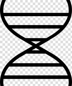 Dna   Png Download   Bio Polymers Icon  Transparent Png