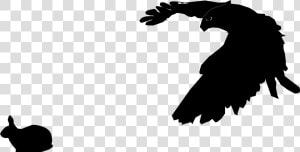 Falcon And Rabbit Clip Arts   Falcon Silhouette Png  Transparent Png