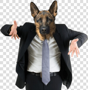 Confused Dog Png   Stock Image Of Man Shrugging  Transparent Png