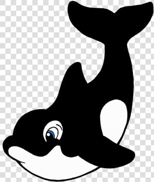 Whale Black And White Cartoon Killer Whale Free Download   Killer Whale Cartoon Drawing  HD Png Download