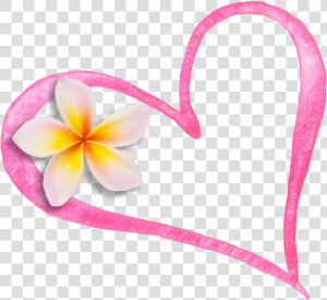 Heart Flower Cropped   Frangipani  HD Png Download