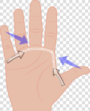 Hand Span Clipart  HD Png Download