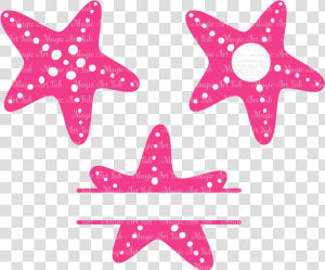 Starfish Cut File Clipart Sea Star Vector Transparent   Star Fish Svg  HD Png Download