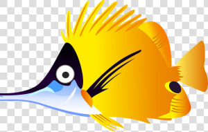 Goldfish Angelfish Tropical Fish   Tropical Fish Clipart  HD Png Download