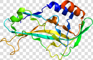 Protein Tbx5 Pdb 2x6u  HD Png Download