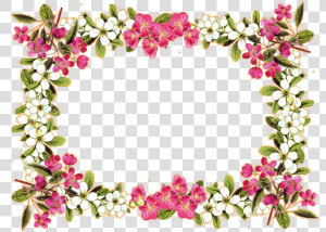 Flower Border Designs Png Background   Flower Border Transparent Background  Png Download