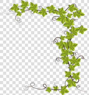 Grape Leaf Cliparts 22  Buy Clip Art   Cartoon Ivy Plant  HD Png Download