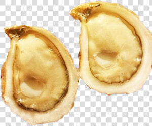 Oysters Png  Transparent Png