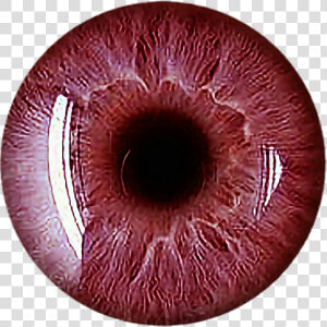  eye  red  scary  vampire  redeyes  eyecolor  eyeball   Scary Eye Png  Transparent Png