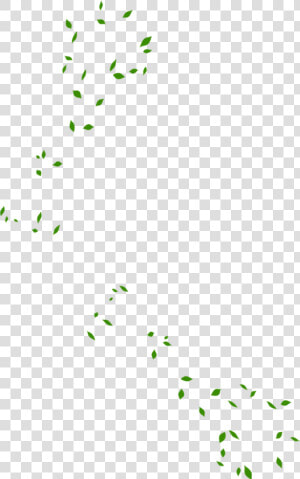 Maple Leaf Green   Green Falling Leaves Png  Transparent Png