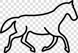 Transparent Horse Clipart Outline   Horse Icon Outline  HD Png Download