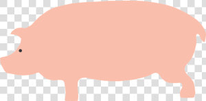 Domestic pig   Cartoon Pig Side View  HD Png Download