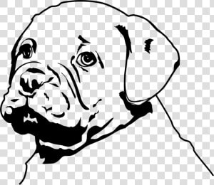 Line Art carnivore guard Dog   Olde English Bulldogge  HD Png Download