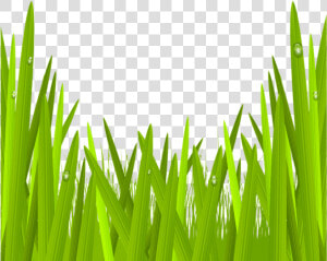 Green Grass Png Clip Art Image Gallery   Clipart Grass Transparent  Png Download