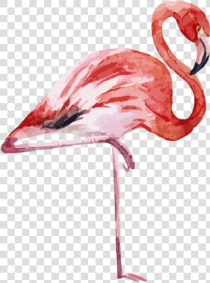 Flamingo Printing Canvas Print Printmaking  HD Png Download