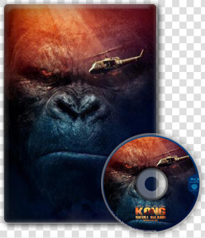 58c71f73e254e Kongskullisland   Kong Skull Island Dvd 2017  HD Png Download