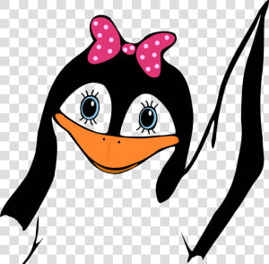 Penguin Png Motivational   Girl Penguin Clip Art  Transparent Png