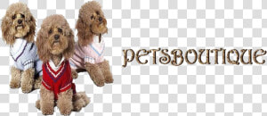 Petsboutique Online Logo   Labradoodle  HD Png Download