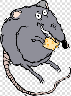 Vector Illustration Of Rodent Rat Eating Cheese   Kerkklok Wijzerplaat Te Koop  HD Png Download