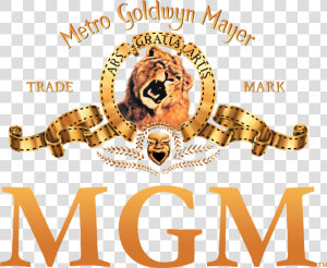 Metro Goldwyn Mayer Logo  HD Png Download