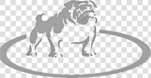 Olde English Bulldogge  HD Png Download