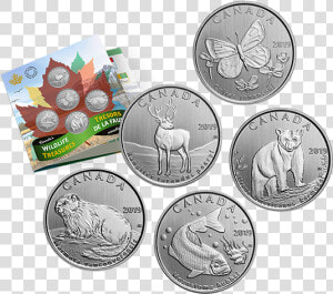 Canadian Wildlife Coin Series  HD Png Download