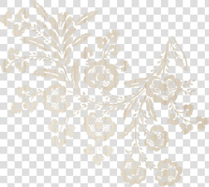 Lace Desktop Wallpaper Transparency And Translucency   Transparent Lace Lace Png  Png Download