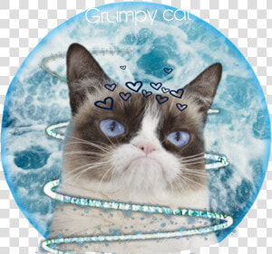  grumpycat  grumpy  cat  weloveyou  goodbye  sad  depressing   Grumpy Cat Bobs Skechers  HD Png Download