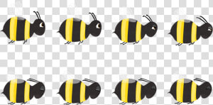 Flight Of The Bumblebee   Honeybee  HD Png Download