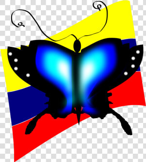 Mariposa   Mariposas Amarillo Azul Y Rojo  HD Png Download