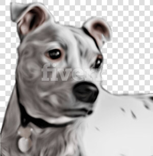 Great Dane   Png Download   American Pit Bull Terrier  Transparent Png