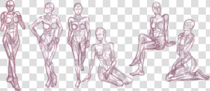 Picture Black And White Anatomical Drawing Figure   Human Anatomy Drawing Studies  HD Png Download