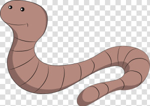 Earth Worm  Earthworm  Earth  Maggot  Nature  Hen    Earth Worm  HD Png Download