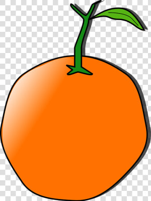 Orange Fruit Clipart Orange Tree   Orange Clip Art  HD Png Download